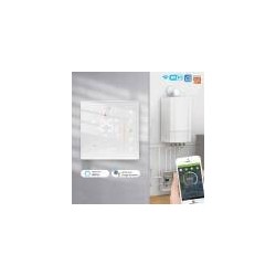 Loadable thermostat 16A White TR066 Wifi TUYA