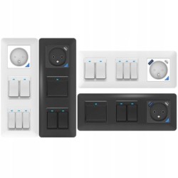 Black wall switch USB+TypeC Zigbee