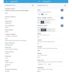 Black wall switch USB+TypeC Zigbee