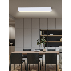 NEO CANTO Smart laevalgusti 90x15cm 50W valge Zigbee 3.0